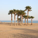 Blog thumbnail